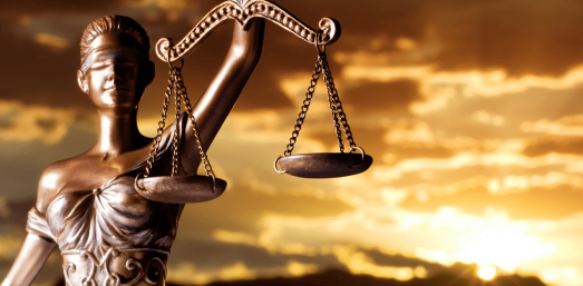 LEGAL BRIEFS